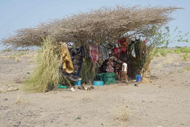 Children of internally displaced Yemeni people who fled their homes due to renewed clashes between Yemen's Saudi-backed government forces and the country's Houthi rebels, stand under a tree with their belongings after seeking shelter in Mocha, on the Red Sea coast of Yemen on September 7, 2026. (Photo by AFP)