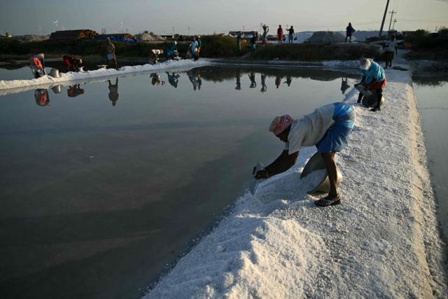 Workers harvest salt at Thoothukudi in India's Tamil Nadu state on September 10, 2026. (Photo by R. Satish BABU / AFP)