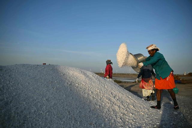 Workers harvest salt at Thoothukudi in India's Tamil Nadu state on September 10, 2026. (Photo by R. Satish BABU / AFP)