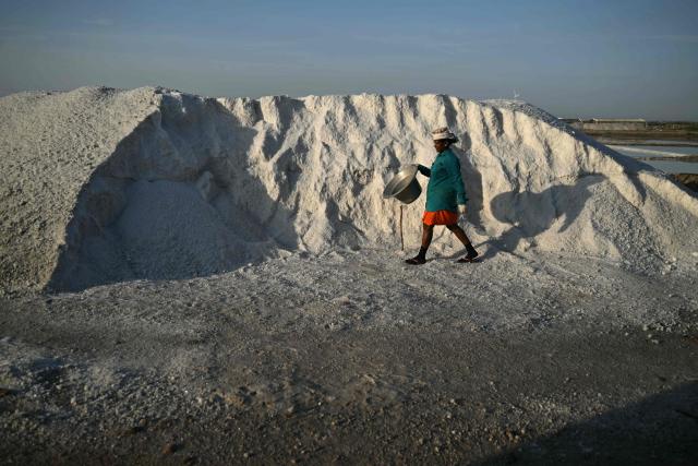 A woman works at a salt pan in Thoothukudi, India's Tamil Nadu state on September 10, 2026. (Photo by R. Satish BABU / AFP)