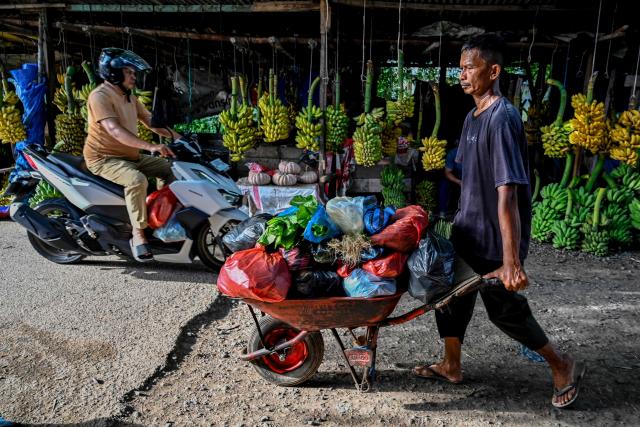 A man pushes a wheelbarrow past a stall selling bananas at a fresh food market in Lambaro, Indonesia's Aceh province on September 14, 2026. (Photo by CHAIDEER MAHYUDDIN / AFP)