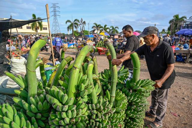 A man sells bananas at a fresh food market in Lambaro, Indonesia's Aceh province on September 14, 2026. (Photo by CHAIDEER MAHYUDDIN / AFP)