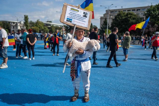 A shepherd takes part in a protest in Bucharest, Romania, September 15, 2026. Some 2.000 people protested in front of the Romanian government in the capital Bucharest, a protest started by disgruntled farmers and shepherds, which was also promoted online by supporters of the far right. Several participants jostled one another and came to blows with law enforcement, which used tear gas. The shepherds call for the lifting of the ban on live sheep exports in the EU, a measure imposed after the livestock sector was affected by small ruminant plague. (Photo by Mihai Barbu / AFP)