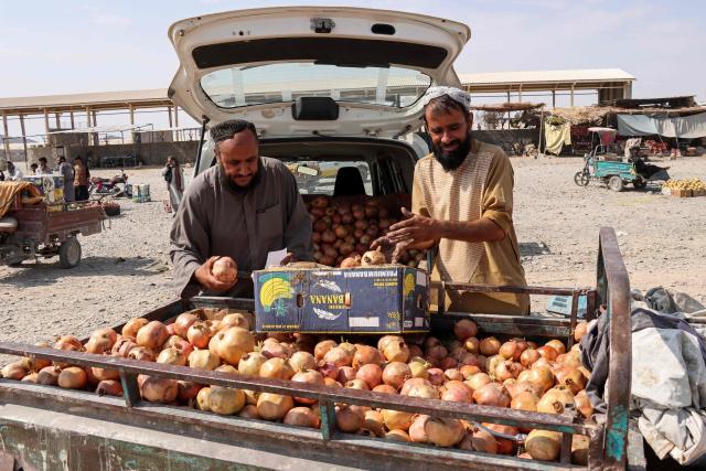 Afghan vendors arrange pomegranates on a cart at a wholesale market in Afghanistan's Farah city on September 15, 2026. (Photo by Mohsen KARIMI / AFP)