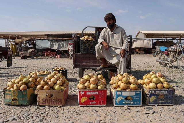 An Afghan vendor selling pomegranates waits for customers at a wholesale market in Afghanistan's Farah city on September 15, 2026. (Photo by Mohsen KARIMI / AFP)
