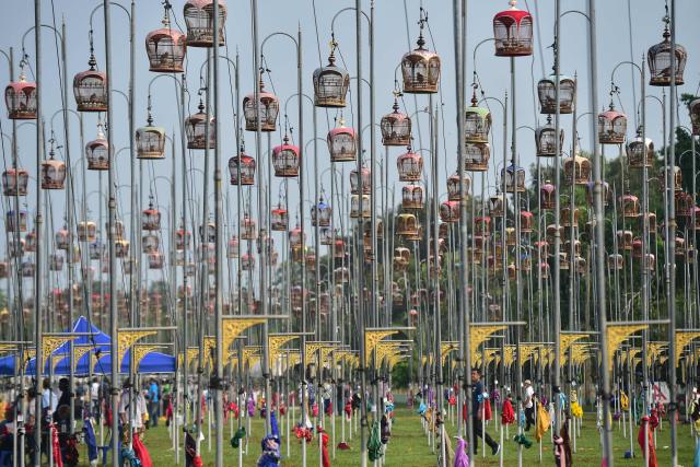 Doves sit in cages during an annual bird singing competition competing for the Royal Trophy from Thai Princess Sirindhorn, in Thailand's southern province of Narathiwat on September 16, 2026. (Photo by Madaree TOHLALA / AFP)