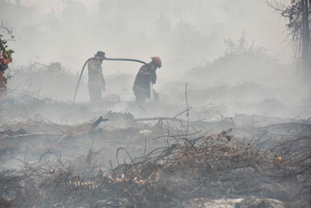 (FILES) A peatland firefighting task force extinguishes a fire in the Tambang area of Kampar, in the Riau province on August 27, 2026. Critically endangered Sumatran elephants are pushed further to the brink as wildfires razed hundreds of hectares of their habitat on the western Indonesian island, wildlife NGO Geopix told AFP on September 16, 2026. (Photo by WAHYUDI / AFP)