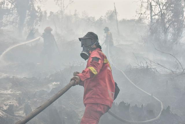 (FILES) A peatland firefighting task force extinguishes a fire in the Tambang area of Kampar, in the Riau province on August 27, 2026. Critically endangered Sumatran elephants are pushed further to the brink as wildfires razed hundreds of hectares of their habitat on the western Indonesian island, wildlife NGO Geopix told AFP on September 16, 2026. (Photo by WAHYUDI / AFP)