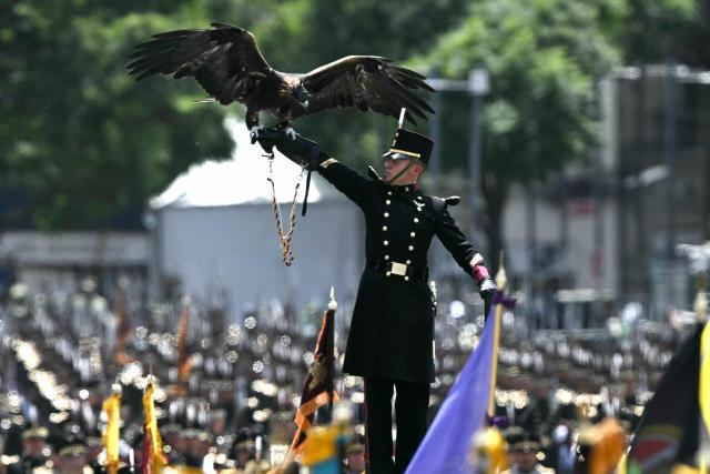 A member of Mexico's Armed Forces carries a golden eagle during the Independence Day military parade at Mexico City's Zocalo square on September 16, 2026. (Photo by Yuri CORTEZ / AFP)