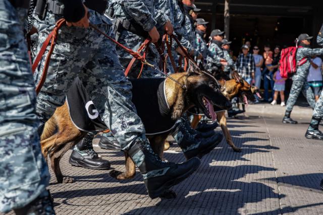 Mexican soldiers march during the Independence Day military parade in Culiacan, state of Sinaloa, Mexico, on September 16, 2026. (Photo by Jesus Verdugo / AFP)
