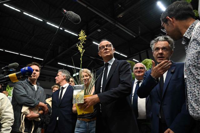 Right wing party Horizons candidate in France's 2027 presidential election Edouard Philippe (C) holds a plant as he visits the 'Salon du Vegetal' (plant fair) in Angers, western France on September 17, 2026. (Photo by Sebastien Salom-Gomis / AFP)