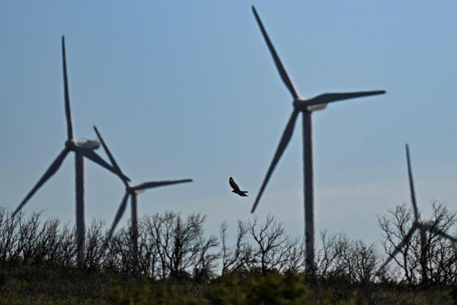 (FILES) A Short-toed snake eagle (Circaetus gallicus) flies next to wind turbine generators of a windfarm in Aumelas, west of Montpellier on March 12, 2025. The Paris Court of Appeal will deliver its verdict on September 22, 2026 on the one-year suspension of a wind farm ordered by the Montpellier court to protect birds. (Photo by GABRIEL BOUYS / AFP)