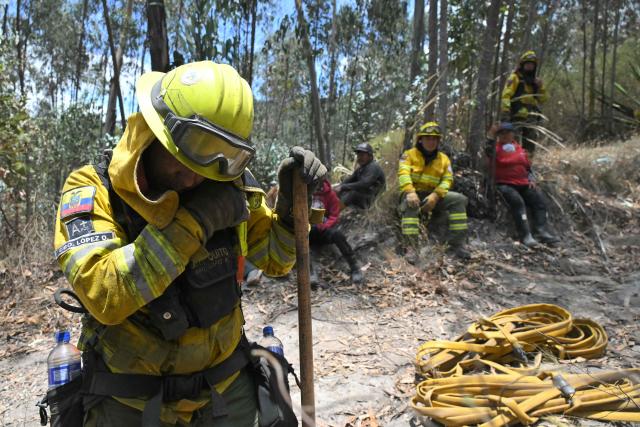 Firefighters rest while working to control a fire on the southern side of Casitagua Hill, in northern Quito, on September 18, 2026. Firefighters battled wildfires sweeping through a forest in Ecuador's capital Quito on September 18, with authorities saying they had evacuated dozens of people. (Photo by Rodrigo BUENDIA / AFP)