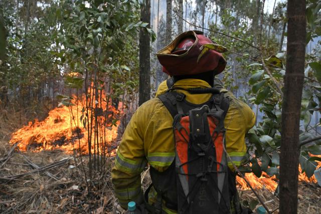 A firefighter works to control a fire on the southern side of Casitagua Hill, in northern Quito on September 18, 2026. Firefighters battled wildfires sweeping through a forest in Ecuador's capital Quito on September 18, with authorities saying they had evacuated dozens of people. (Photo by Rodrigo BUENDIA / AFP)