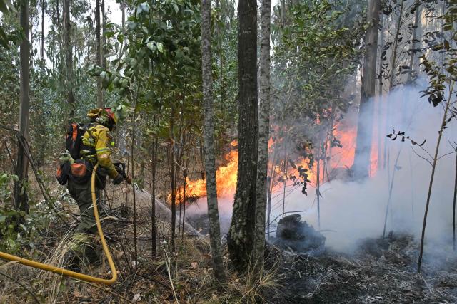 A firefighter works to control a fire on the southern side of Casitagua Hill, in northern Quito on September 18, 2026. Firefighters battled wildfires sweeping through a forest in Ecuador's capital Quito on September 18, with authorities saying they had evacuated dozens of people. (Photo by Rodrigo BUENDIA / AFP)