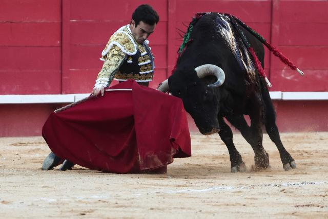 Spanish matador Tomas Rufo performs during a bullfight as part of the Feria in Nîmes, southern France, on September 19, 2026. (Photo by Thibaud MORITZ / AFP)