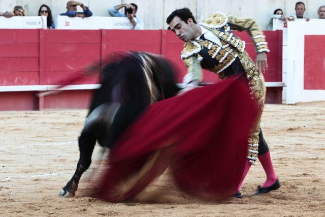Spanish matador Tomas Rufo performs during a bullfight as part of the Feria in Nîmes, southern France, on September 19, 2026. (Photo by Thibaud MORITZ / AFP)