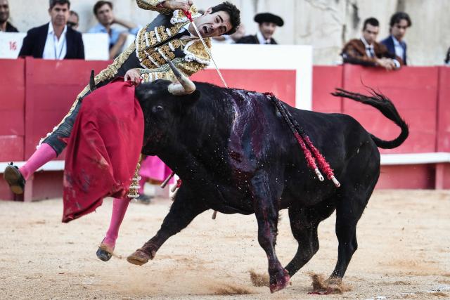 Spanish matador Tomas Rufo performs during a bullfight as part of the Feria in Nîmes, southern France, on September 19, 2026. (Photo by Thibaud MORITZ / AFP)