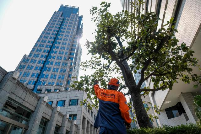A landscape worker prunes a tree near the Bank Indonesia (Indonesia's Central Bank) high-rise office complex in Jakarta on September 21, 2026. (Photo by BAY ISMOYO / AFP)
