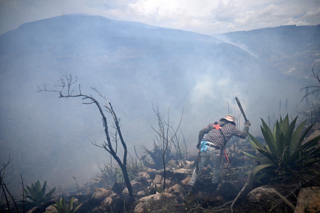 A volunteer works to extinguish a wildfire on Ritoque Hill in the municipality of Villa de Leyva, Boyaca department, Colombia, on September 21, 2026. (Photo by Raul ARBOLEDA / AFP)