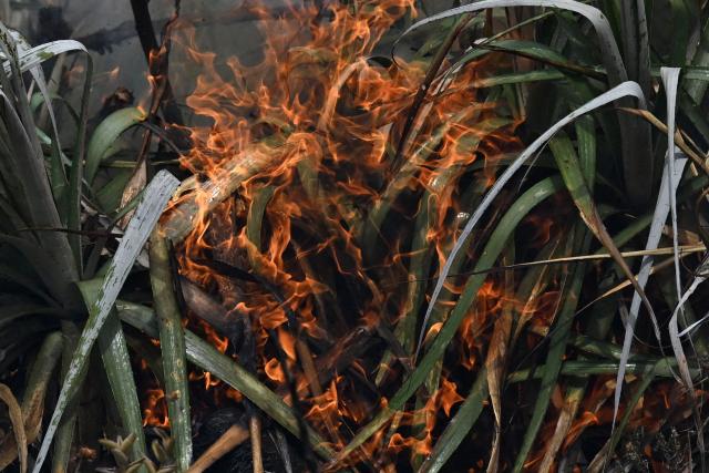 Vegetation burns during a wildfire on Ritoque Hill in the municipality of Villa de Leyva, Boyaca department, Colombia, on September 21, 2026. (Photo by Raul ARBOLEDA / AFP)