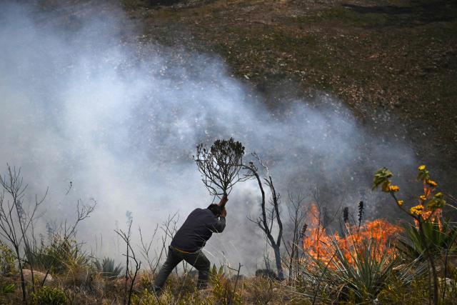 A volunteer works to extinguish a wildfire on Ritoque Hill in the municipality of Villa de Leyva, Boyaca department, Colombia, on September 21, 2026. (Photo by Raul ARBOLEDA / AFP)