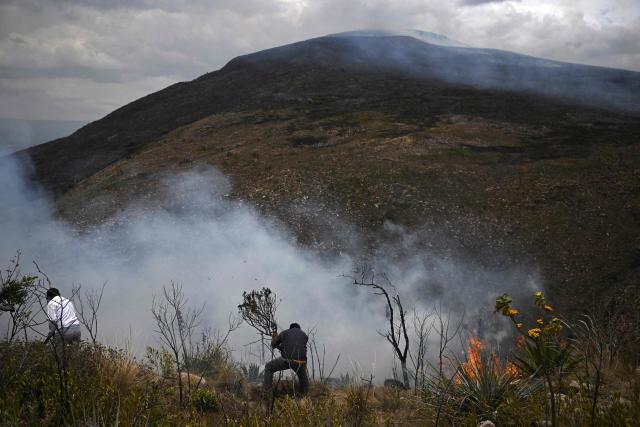 Volunteers work to extinguish a wildfire on Ritoque Hill in the municipality of Villa de Leyva, Boyaca department, Colombia, on September 21, 2026. (Photo by Raul ARBOLEDA / AFP)