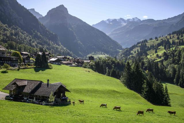 This photograph shows the Kiental valley after sunrise during the traditional "alpabzug" in German or "desalpe" in French, a Swiss festival to mark herds coming in from mountain pastures, on September 22, 2026. Around seventy alpacas were herded down to the valley before being loaded onto a livestock truck and transported to their winter farm located in Aeschi near Spiez, in the Swiss Bernese Oberland. (Photo by Fabrice COFFRINI / AFP)