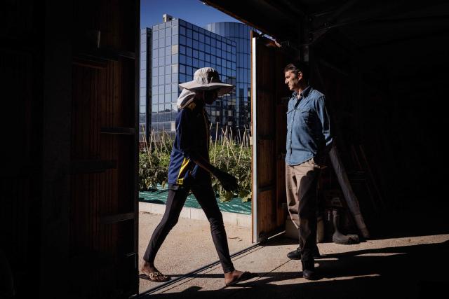 Co-founder of urban farming operation and restaurant "Ma Salade à Toit" Gregory Schepard (R) poses during a photo session at his company as an urban farmer walks by on the rooftop of the Arcades shopping centre in Noisy-le-Grand, in the eastern suburbs of Paris on September 22, 2026. (Photo by Simon WOHLFAHRT / AFP)