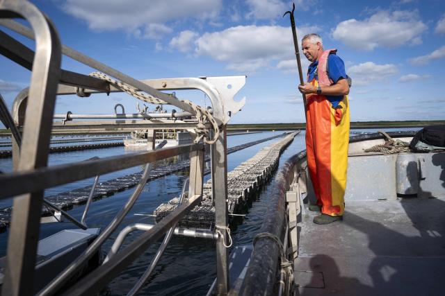 A worker stands next to rotating oyster baskets in Bruinisse, The Netherlands, on September 24, 2026. (Photo by Jeroen Jumelet / ANP / AFP) / Netherlands OUT