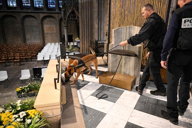 A French Police dog handler carries out a bomb sweep in the raised choir of the Saint-Etienne Cathedral as part of security measures on the eve of the Pope's visit on the last day of his official trip to France, in Metz, northeastern France, on September 27, 2026. For the last leg of his trip, in Metz on September 28, Pope Leo XIV is set to deliver a speech about peace in Europe. (Photo by Jean-Christophe VERHAEGEN / POOL / AFP)