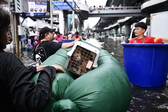 Residents and pets navigate floodwaters in Bang Kapi district in Bangkok on September 28, 2026. Eight people have died in flooding in Thailand since September 16, although none in the capital Bangkok which declared a disaster this weekend following heavy rains, the government said on September 28. (Photo by Lillian SUWANRUMPHA / AFP)