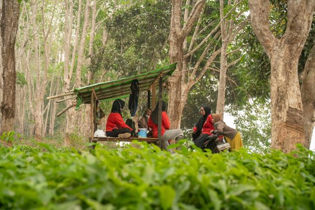 Members of the all-women The Power of Mama (TPoM) volunteer firefighting team rest under a hut during a patrol mission in the Benipis area, Ketapang Regency, West Kalimantan on September 27, 2026. Indonesia has been battling fires for weeks in parts of Borneo and Sumatra, sending suffocating haze across the islands and neighbouring Malaysia and Singapore. (Photo by MUFFIDZ MASUM / AFP)