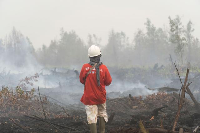 A member of the all-women The Power of Mama (TPoM) volunteer firefighting team looks at smouldering peatland in Benipis, Ketapang Regency, West Kalimantan on September 26, 2026. Indonesia has been battling fires for weeks in parts of Borneo and Sumatra, sending suffocating haze across the islands and neighbouring Malaysia and Singapore. (Photo by HERIBERTUS / AFP)