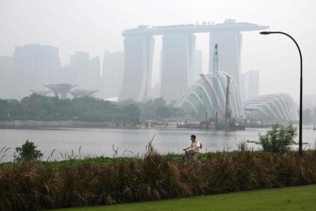 A cyclist rides along the Marina bay east garden as the city skyline is shrouded with haze in Singapore on September 28, 2026. Indonesia has been battling fires for weeks in parts of Borneo and Sumatra, sending suffocating haze across the islands and neighbouring Malaysia and Singapore. (Photo by Roslan RAHMAN / AFP)