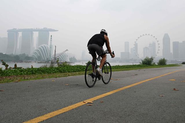A cyclist rides along the Marina bay east garden as the city skyline is shrouded with haze in Singapore on September 28, 2026. Indonesia has been battling fires for weeks in parts of Borneo and Sumatra, sending suffocating haze across the islands and neighbouring Malaysia and Singapore. (Photo by Roslan RAHMAN / AFP)