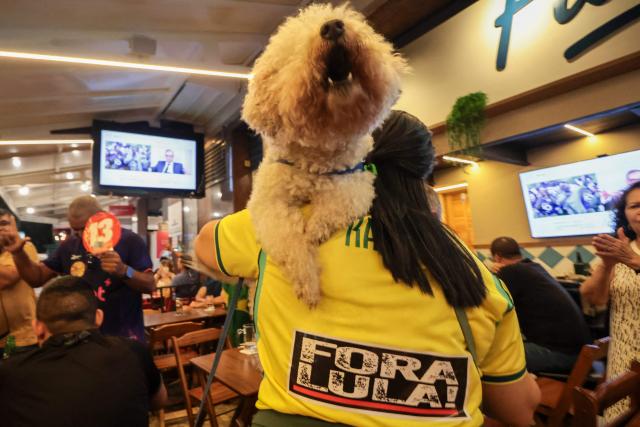 A supporter of Brazil's right-wing Presidential candidate Flavio Bolsonaro carrying a dog wacthes a TV following the partial results of the presidential election in Rio de Janeiro, Brazil, on October 4, 2026. Brazilian senator Flavio Bolsonaro, son of the far-right former president Jair Bolsonaro, is leading incumbent Luiz Inacio Lula da Silva in partial results from October 4, 2026, election. (Photo by Douglas SHINEIDR / AFP)
