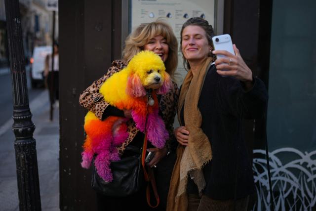 A pair of pedestrian pose with a dog whose coat has been dyed using multiple colours on a street corner in central Paris on October 8, 2026. (Photo by Dimitar DILKOFF / AFP)