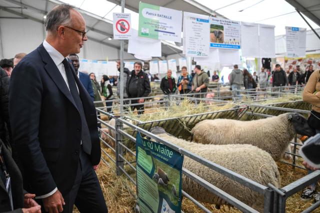 Right wing party Horizons candidate in France's 2027 presidential election Edouard Philippe (L) reacts next to sheep as he visits the Livestock Summit (Sommet de l'elevage) in Cournon-d'Auvergne on October 9, 2026. (Photo by OLIVIER CHASSIGNOLE / AFP)