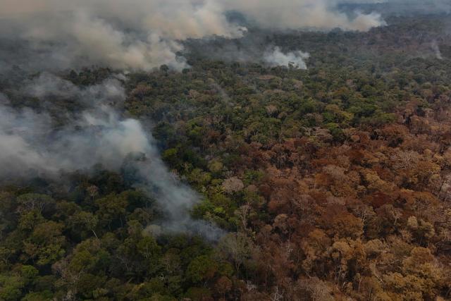 This aerial view shows a large area affected by forest fires in the rural area of Autazes, in Amazonas state, northern Brazil, on October 9, 2026. (Photo by MICHAEL DANTAS / AFP)