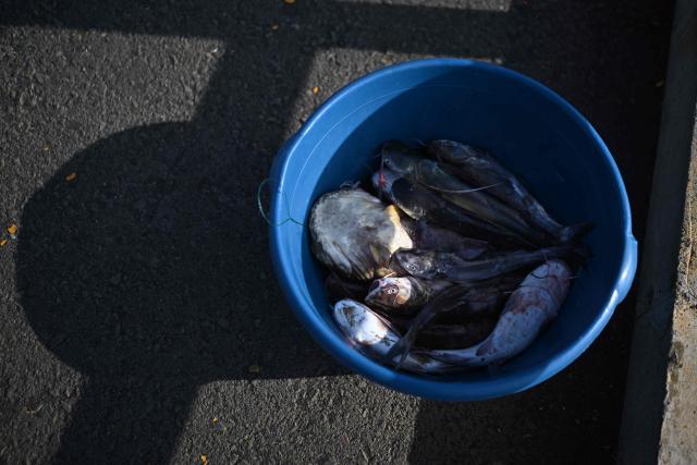 This view shows fish for sale at the pier of the port of La Libertad, El Salvador, on October 9, 2026. (Photo by Marvin RECINOS / AFP)