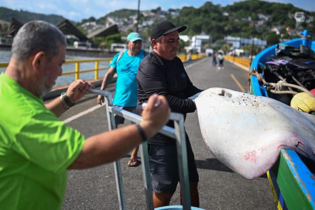 A fisherman offers a stingray for sale along the waterfront at the port of La Libertad, El Salvador, on October 9, 2026, as part of the commercial activity along the coast. (Photo by Marvin RECINOS / AFP)