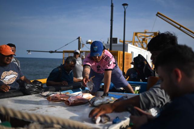 Fishermen sell their catch to tourists and other buyers at the pier of the port of La Libertad, El Salvador, on October 9, 2026. (Photo by Marvin RECINOS / AFP)