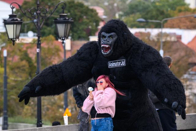A woman reacts while taking a photograph with an entertainer in a gorilla costume in the historic part of Warsaw on October 11, 2026.  (Photo by Mladen ANTONOV / AFP)
