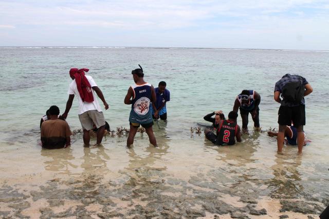 This picture taken on October 5, 2026, shows villagers and environmental advocates planting coral in the sea within the Naidiri Marine Biodiversity Park, a marine protected area located about 52 kilometres from the Fijian city of Nadi. Climate change is threatening the livelihoods of coastal communities in Fiji, with coral bleaching and habitat loss contributing to dwindling fish stocks. (Photo by Saeed KHAN / AFP)