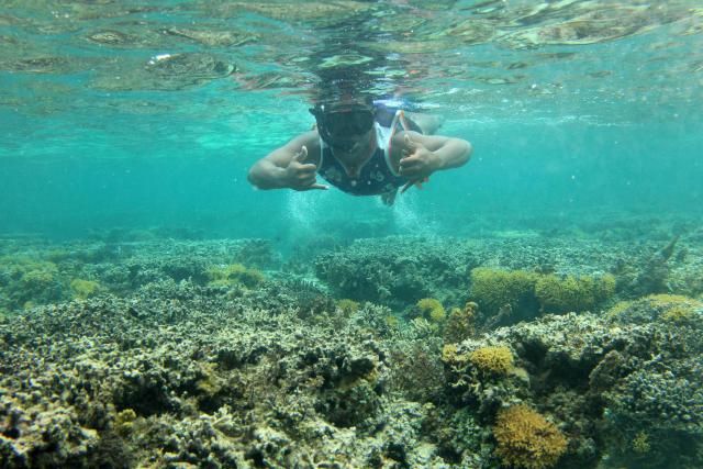This picture taken on October 5, 2026, shows a villager gesturing as he returns after planting coral in the waters of the Naidiri Marine Biodiversity Park, a marine protected area located about 52 kilometres from the Fijian city of Nadi. Climate change is threatening the livelihoods of coastal communities in Fiji, with coral bleaching and habitat loss contributing to dwindling fish stocks. (Photo by AFP)