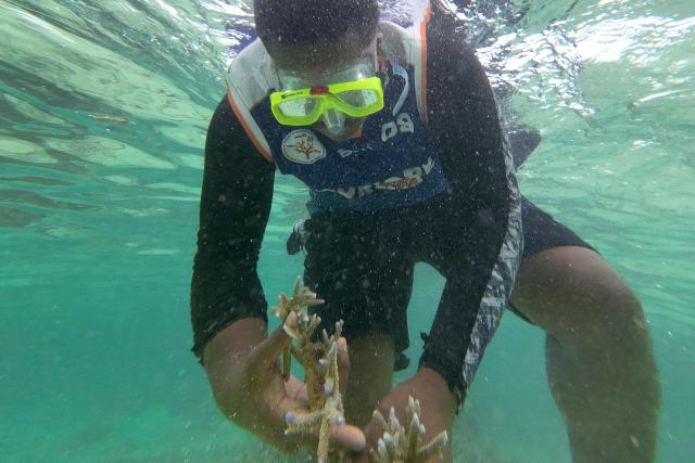 This picture taken on October 5, 2026, shows a villager collecting healthy coral to plant within the Naidiri Marine Biodiversity Park, a marine protected area about 52 kilometres from the Fijian city of Nadi. Climate change is threatening the livelihoods of coastal communities in Fiji, with coral bleaching and habitat loss contributing to dwindling fish stocks. (Photo by Saeed KHAN / AFP)