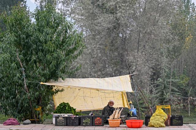 A roadside vendor sells vegetables along the shores of Dal Lake in Srinagar on October 13,2026. (Photo by Tauseef MUSTAFA / AFP)