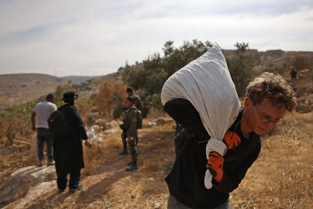 An Israeli activist carries a sack of olives as security forces evacuate them from the area of olive tree plantation in Idna village near the occupied West Bank town of Hebron, on October 13, 2026. The olive harvest starts in the West Bank in October and makes up a large component of the agricultural economy and cultural life for most Palestinians. Extremist Israeli settlers have been seizing olive groves owned by Palestinians, who see the trees as a cultural symbol. The olive harvest is a major component of the West Banks agricultural economy, rural livelihoods and cultural life. (Photo by HAZEM BADER / AFP)