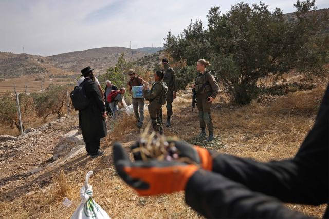 Israeli security forces and armed settlers evacuate Palestinians and Israeli activists from the area of olive tree plantation in Idna village near the occupied West Bank town of Hebron, on October 13, 2026. The olive harvest starts in the West Bank in October and makes up a large component of the agricultural economy and cultural life for most Palestinians. Extremist Israeli settlers have been seizing olive groves owned by Palestinians, who see the trees as a cultural symbol. The olive harvest is a major component of the West Banks agricultural economy, rural livelihoods and cultural life. (Photo by HAZEM BADER / AFP)